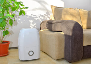 Stand-alone dehumidifier beside couch in living room